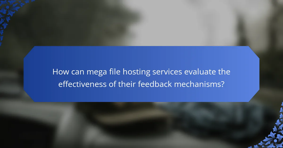 How can mega file hosting services evaluate the effectiveness of their feedback mechanisms?