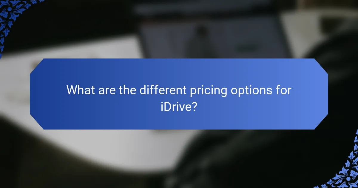 What are the different pricing options for iDrive?