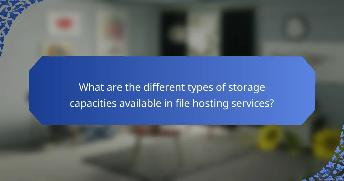What are the different types of storage capacities available in file hosting services?