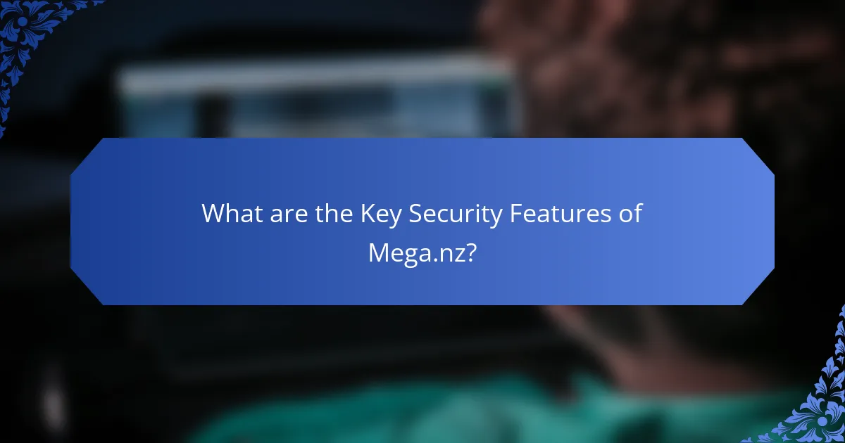 What are the Key Security Features of Mega.nz?