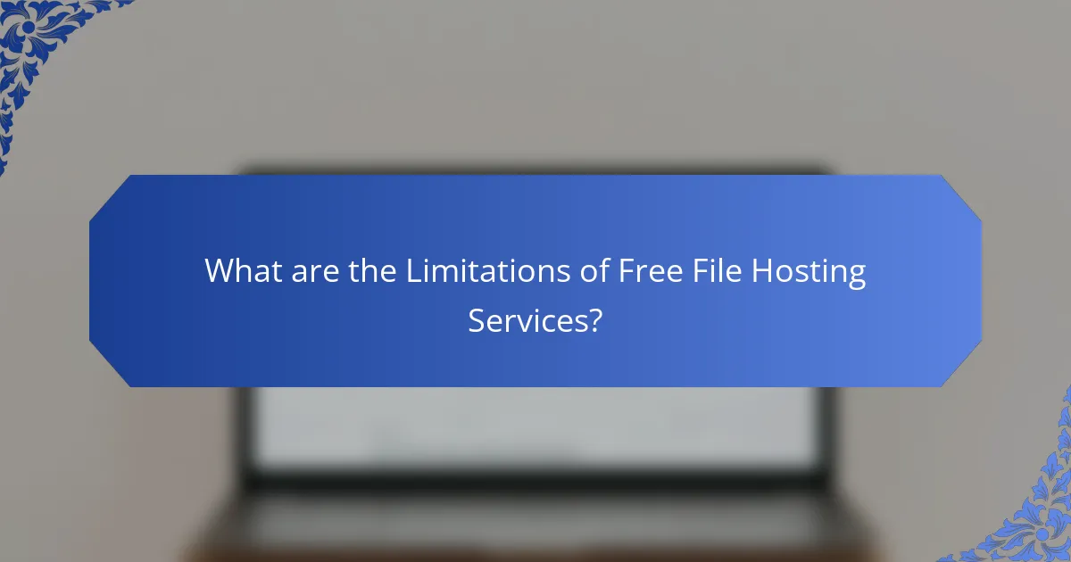What are the Limitations of Free File Hosting Services?