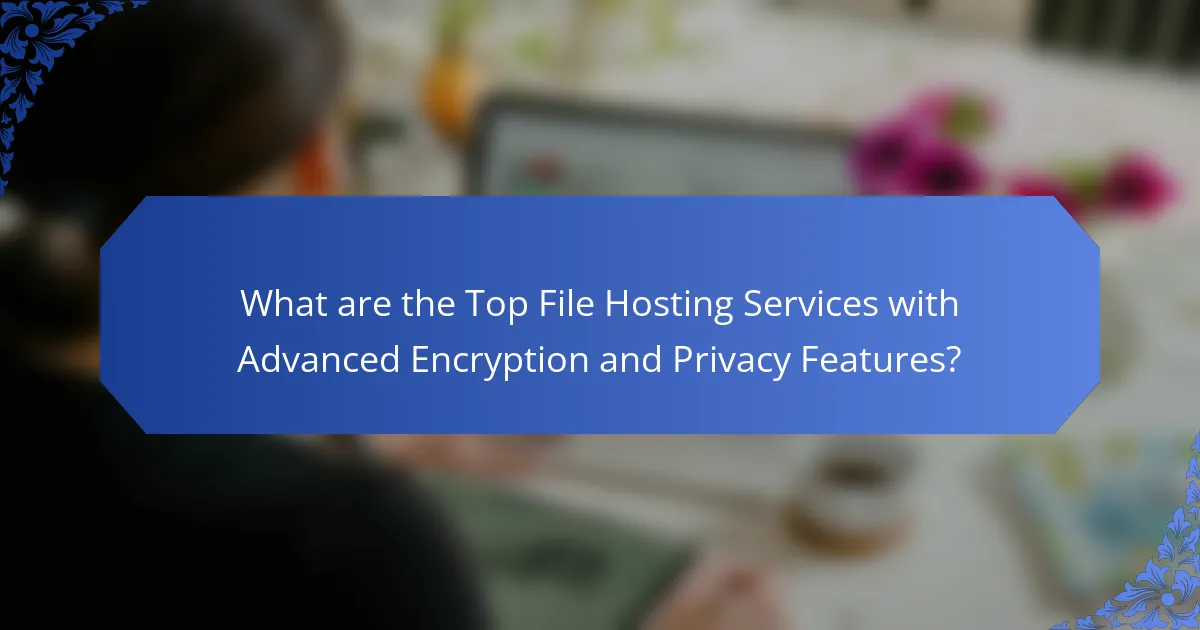 What are the Top File Hosting Services with Advanced Encryption and Privacy Features?