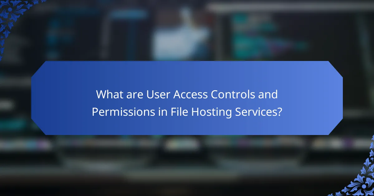 What are User Access Controls and Permissions in File Hosting Services?
