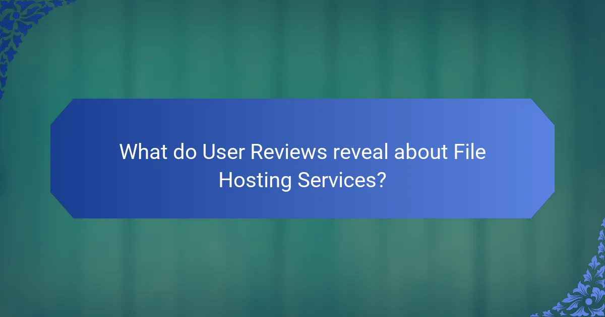 What do User Reviews reveal about File Hosting Services?