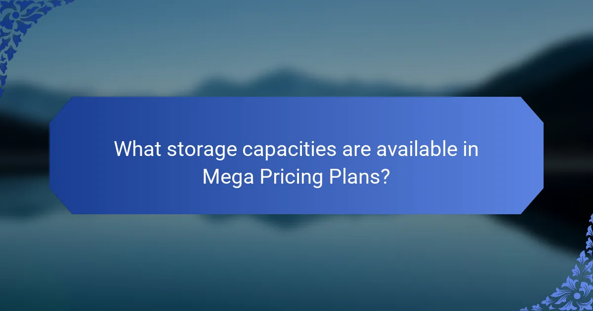 What storage capacities are available in Mega Pricing Plans?